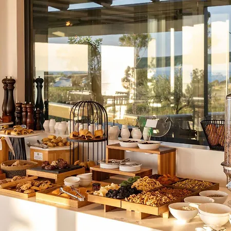 Anasa Luxury Hotel Elaiokhorion