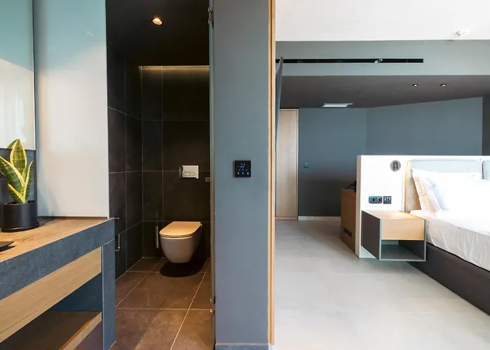 Anasa Luxury 4* Elaiokhorion